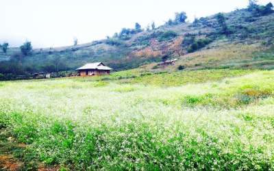 5 สิ่งที่ต้องทำหากไปเที่ยวหมกโจว